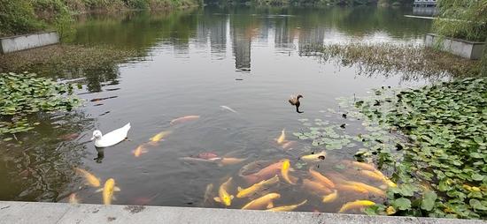 王威喜欢的校园风景 受访者供图