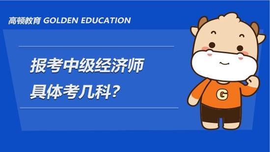 中级经济师