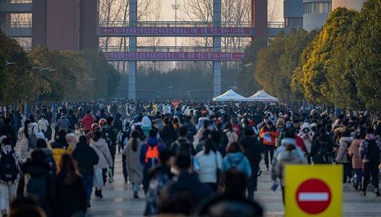 图源:图虫