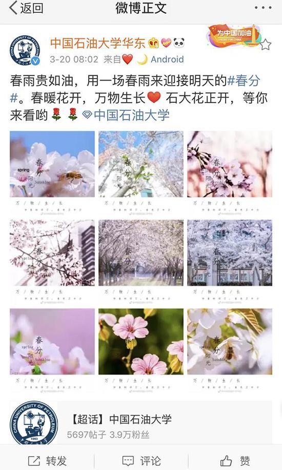 位于青岛的中国石油大学(华东)也迎来“花季”