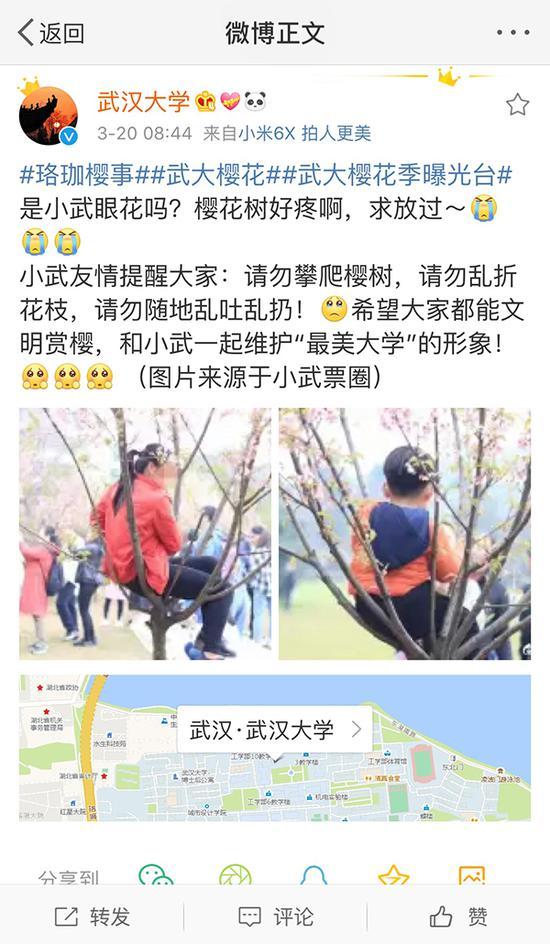 对于部分游客不良行为,武汉大学官微呼吁文明赏花