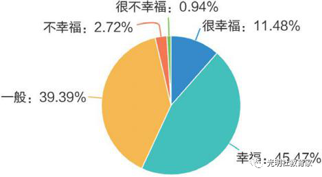 图十三:“90后”教师职业幸福感