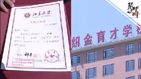 ▲视频截图。