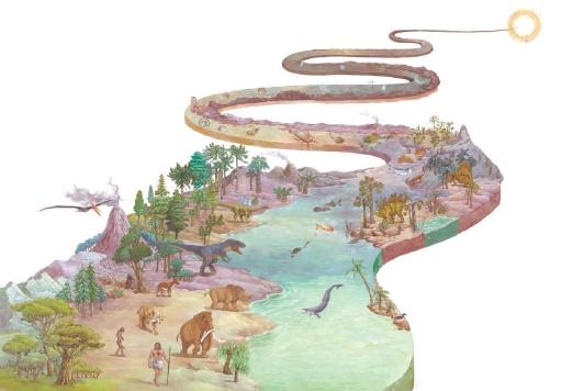 新版生物教材生物进化历史进程图片。