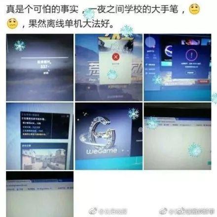 网友图片