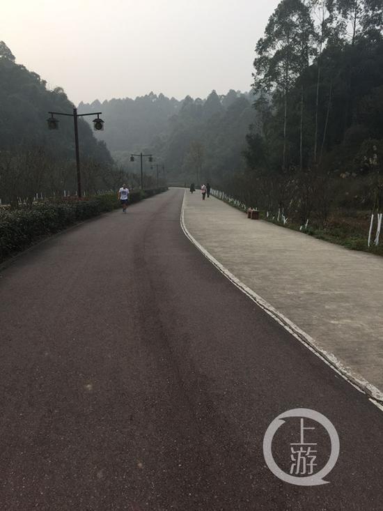 死者曾经在公园的这条路上跑步。