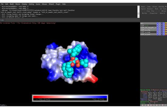 (图二:Pymol 1CDT PC相互作用)