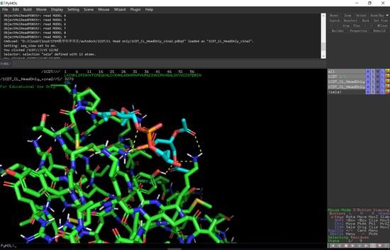 (图一:Pymol 1CDT pc head 作用位点分析)