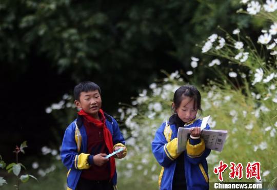 课间,学生们还在温习功课。 王磊 摄