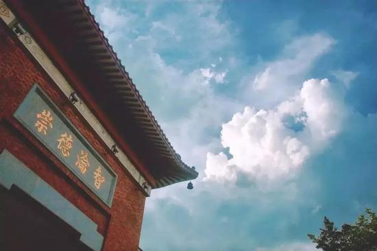 图片来自网络