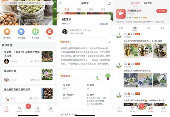 花信App