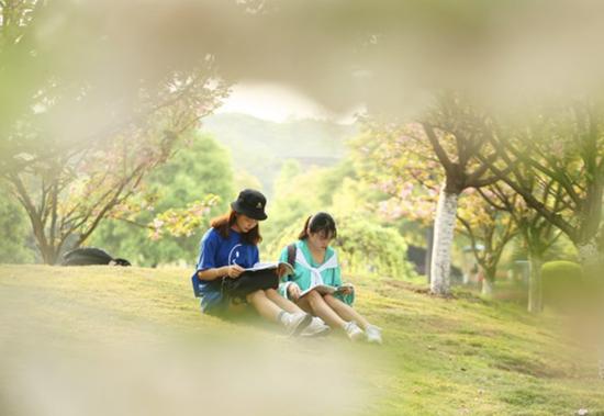 人间四月天,芳华满校园,湖南省衡阳市南华大学校园内樱花盛开。图为女生们在晨读。