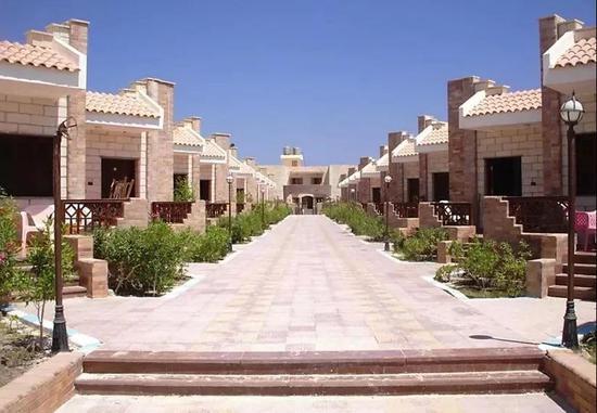 ( 亚历山大大学(Alexandria University )