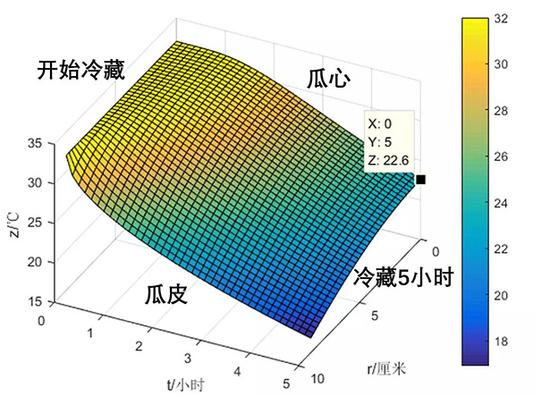 西瓜冷藏5小时后的剖面温度分布。