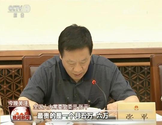 全国人大常委会委员 张平