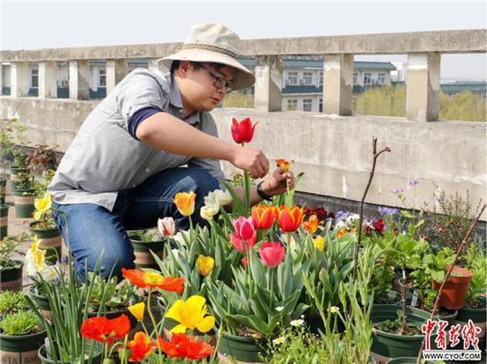 图为张聪在他的屋顶花园做日常养护工作(通讯员 胡海洋 摄)