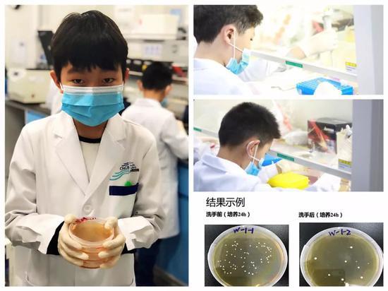 以上图片场景均为爱博物科学少年在国家基因库实验室体验课程的真实场景,所有的操作都在国家级专业实验室内由老师指导下完成。