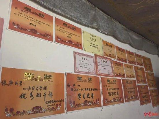 ▲墙上贴满了张燕的奖状 张杨 摄