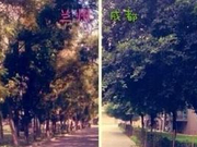 兰州大学2016年考研复试分数线公布