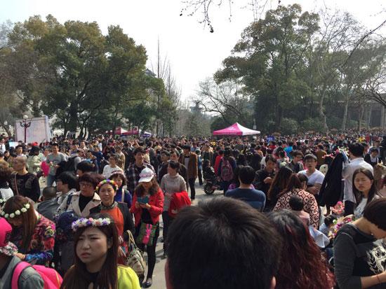 武汉大学樱花节期间,樱花城堡挤满了前来参观的游客。武汉大学 陆昊/摄