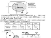 抱怨高考题难 老试卷告诉你民国考大学有多难
