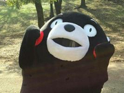 6月大学英语四六级：裸考宝宝紧急救援攻略