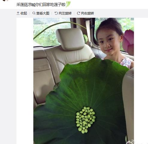 叶一茜微博