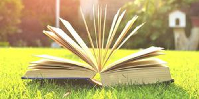 广西三项分类考试开始填志愿