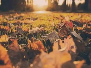 广州中考提前批录取分数线 华附录取最低分718