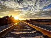 270多项成果！“一带一路”让浙商大佬坐不住