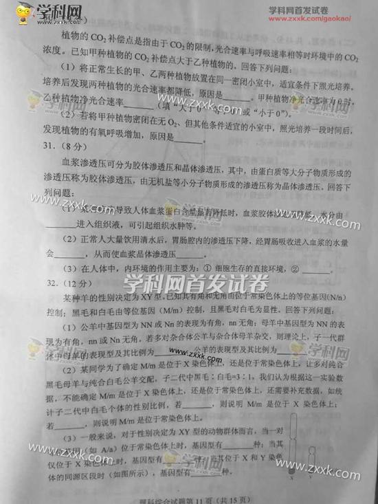 试卷真题