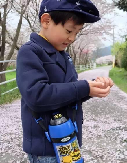在日本福冈看樱花