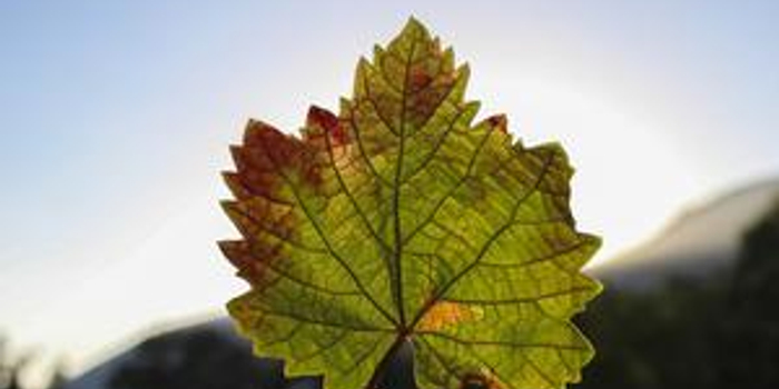 进入高三英语如何提高? 快速记单词有妙招