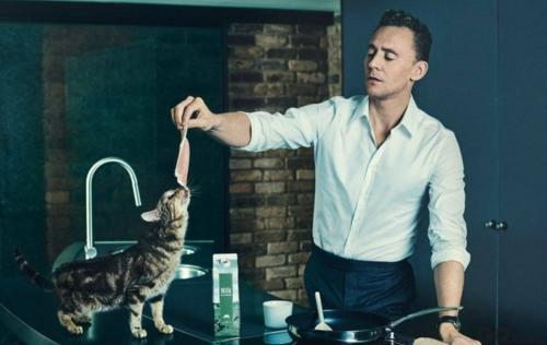 Tom Hiddleston