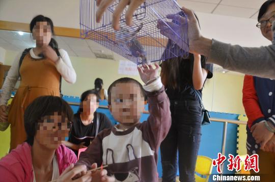 图为小朋友近距离接触鹦鹉。 钟欣 摄