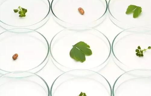 GCSE阶段学习生物难就业?你的选择其实很多