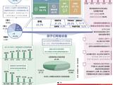 八成孩子每天上网1小时以内 上网目的学习、游戏排名前二