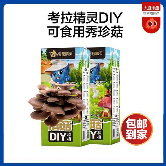在家吃上自己种出的美味:绿色健康好吃好玩,考拉精灵DIY可食用秀珍菇