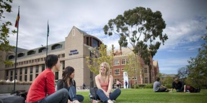 香港国际学校老师告诉你 死记硬背在这里不及格