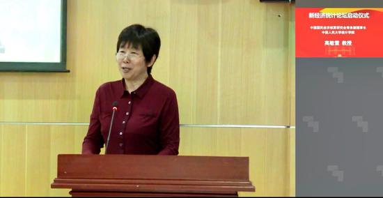 高敏雪教授代表中国国民经济核算研究会致辞
