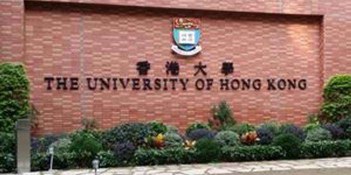 香港大学高考出分后面试 面试形式与往年不同