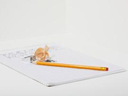 海南中考成绩7月19日公布 评分过程实时监控