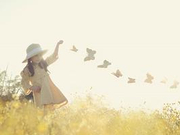 海南中考成绩7月18日放榜 4种渠道可查分