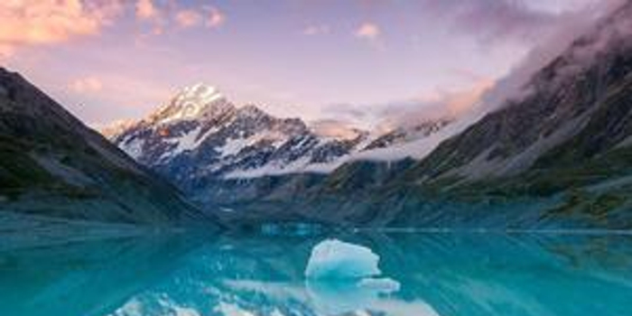 新西兰IT专业好找工作?华媒:上百人竞争一个机