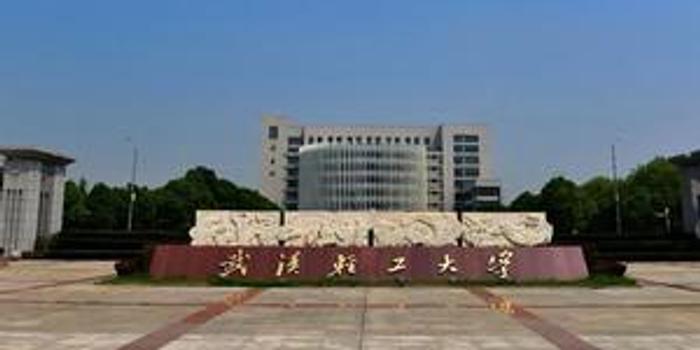 武汉轻工大学排名_武汉轻工大学(3)