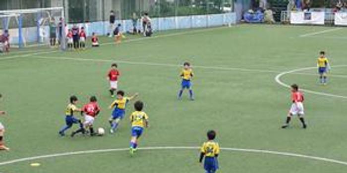 学生集体买足球合适吗,学生集体买足球合适吗知乎