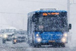 俄媒：强风吹破公交车窗“战斗民族”乘客超淡定