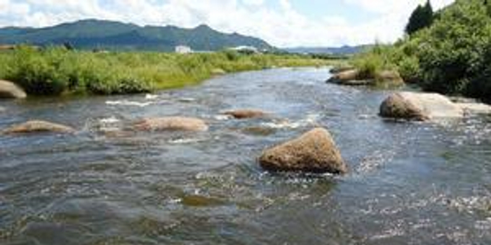 梦游鱼河,解析梦见河里好多鱼在游的深层含义与心理启示 梦游鱼河,解析梦见河里好多鱼在游的深层含义与心理启示