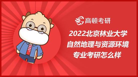高顿考研
