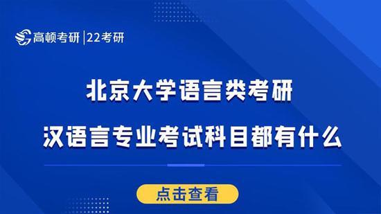 高顿考研